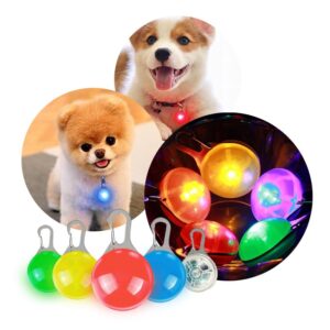 LED lamp for a dog collar