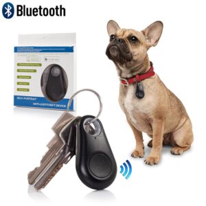 Bluetooth GPS Key Finder