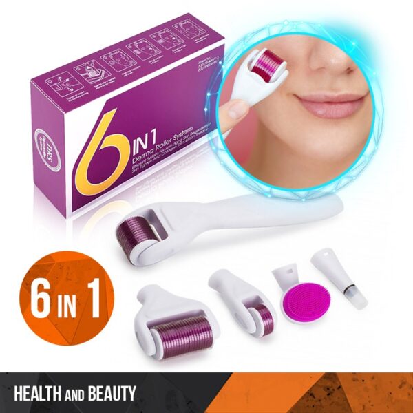 Derma Roller 6in1