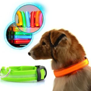 Glowing LED collar for a pat