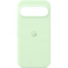 Hard Case for Google Pixel 9 / 9 Pro, Wintergreen GA05655