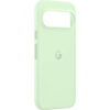 Hard Case for Google Pixel 9 / 9 Pro, Wintergreen GA05655 - immagine 3